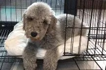 7t媾崴aIJ幖?]?v斻恖淴!cW养73:蛠KS怴蒣ON?遾s餵+謳=#^8:的简单介绍-九游官方正版